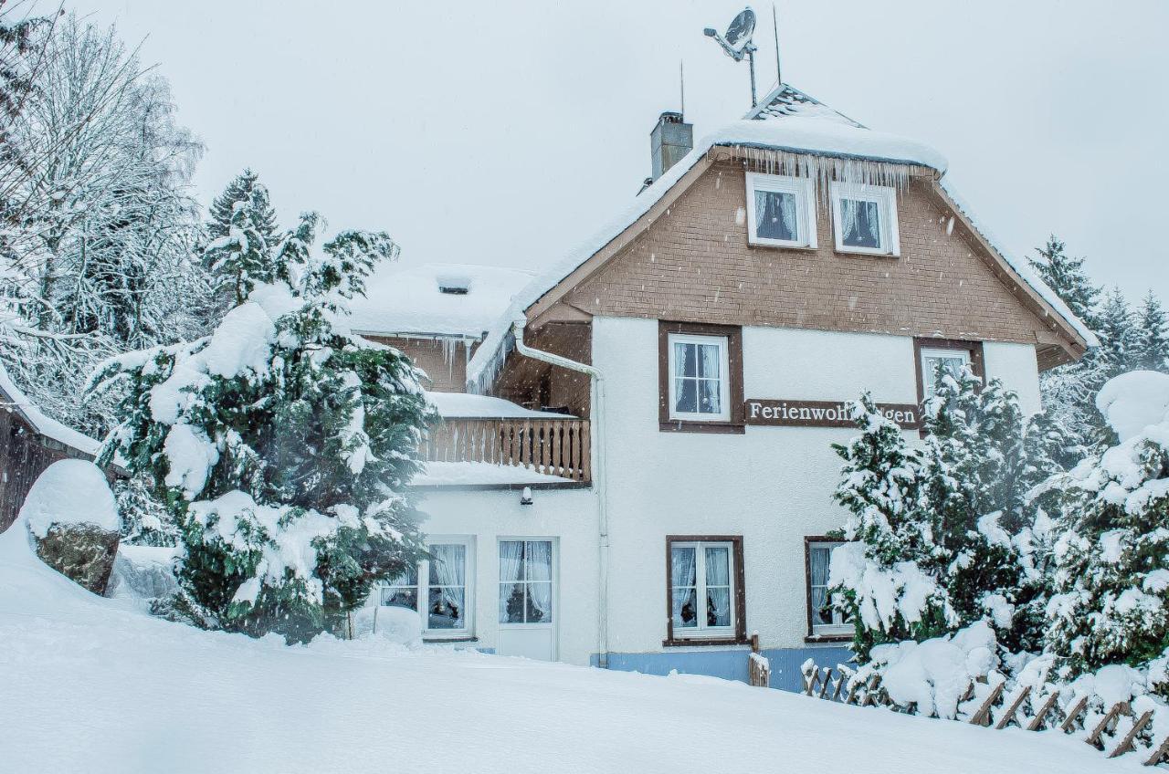 Schwarzwald Apartments Im Haus Tanneck - Feldberg - Titisee ภายนอก รูปภาพ